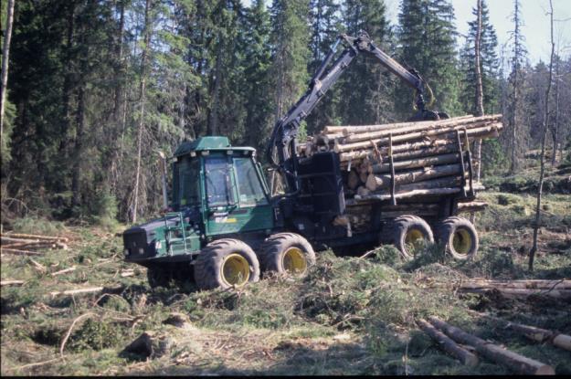 Skog Skog og skogsjord er viktig karbonlager Skogen i Norge har et årlig nettoopptak av CO 2 på ca 25 mill tonn Opptak kan økes ved skogplanting