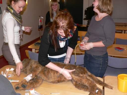 Treningsklinikken ved NMBU Treningsklinikken ved NMBU har helt siden 2009 fremmet de 3R`ene ved å gi NMBU sine studenter anledning til å øve på modeller istedenfor på levende dyr.