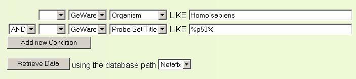 Experiment and Gene Groups Collections of objects with