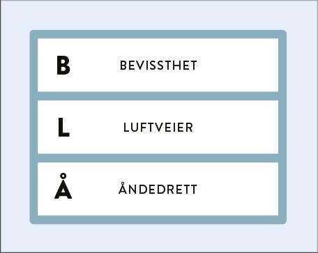 Plan BLÅ LÆRINGSMÅL Målet for opplæringen er at elevene skal kunne forstå betydningen av å bruke Plan BLÅ praktisk utførelse av Plan BLÅ (med bevissthet, luftveier og åndedrett) RESSURSER Til bruk i