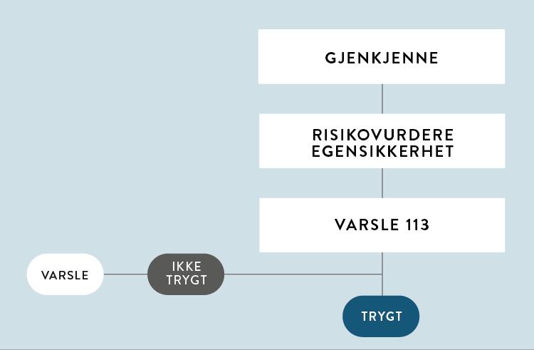 Undervisningsopplegg Gjenkjenne, risikovurdere/egensikkerhet og varsle 113 LÆRINGSMÅL Målet for opplæringen er at elevene skal kunne: gjenkjenne om en person trenger livreddende førstehjelp