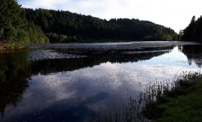 Figur 6 A. Litlevatnet Figur 6 B. Storevatnet Standalsvatnet er en kalkfattig, klar innsjø i Flora kommune.