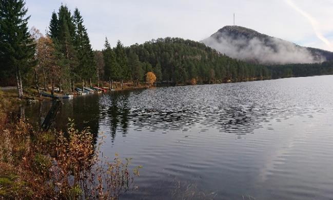 Innløpselva i sør kommer fra Digrenesvatnet, mens Hallbrendelva er utløpselva i nord.