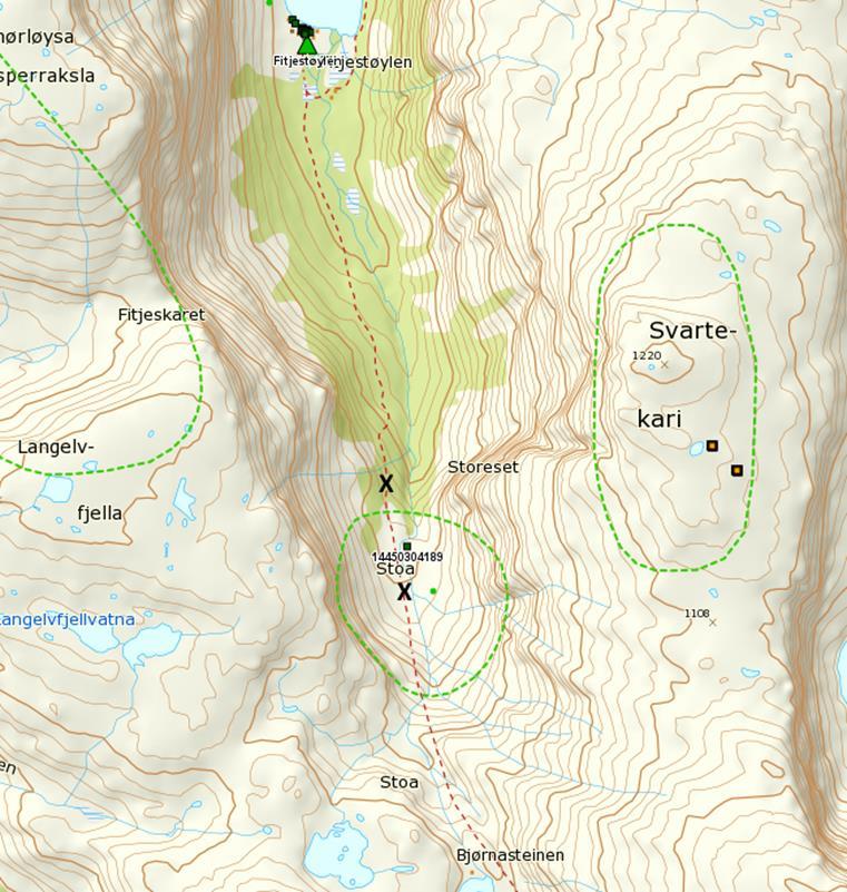 Figur 1. Plassering av bruene (X) i Langedalen. Bruene er tenkt plassert på begge sider av det omtala raset ved Storeset og Stoa inst i Langedalen. Omtrentleg plassering er markert med «X» i figur 1.