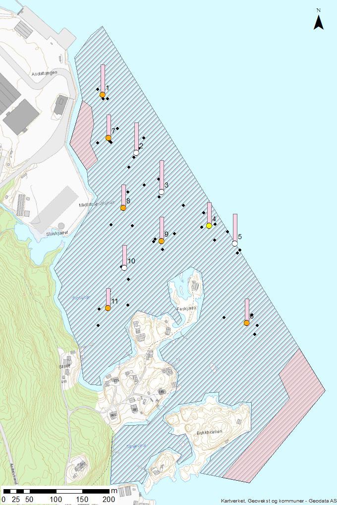 FRIER VEST OMRÅDEREGULERING RAPPORT Figur 8: Sedimentstasjoner vurdert med farge i henhold til påvist tilstandsklasse. Plassering av punkt er gjort ved gjennomsnitt av de fire opptakslokalitetene.