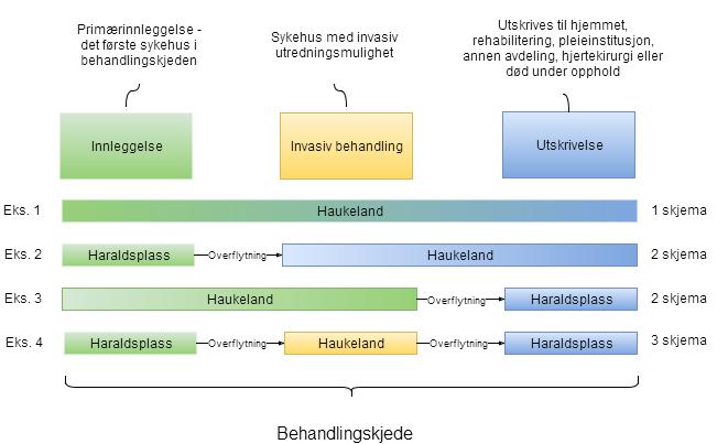 pasienten er utskrevet; 2) innregistrering blir utført direkte i det elektroniske registreringsskjemaet under oppholdet eller etter at pasienten er utskrevet.