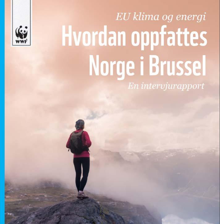 2) Norge er opptatt av å implementere de EU-lovene som gir oss fleksibilitet til å nå mål sammen med