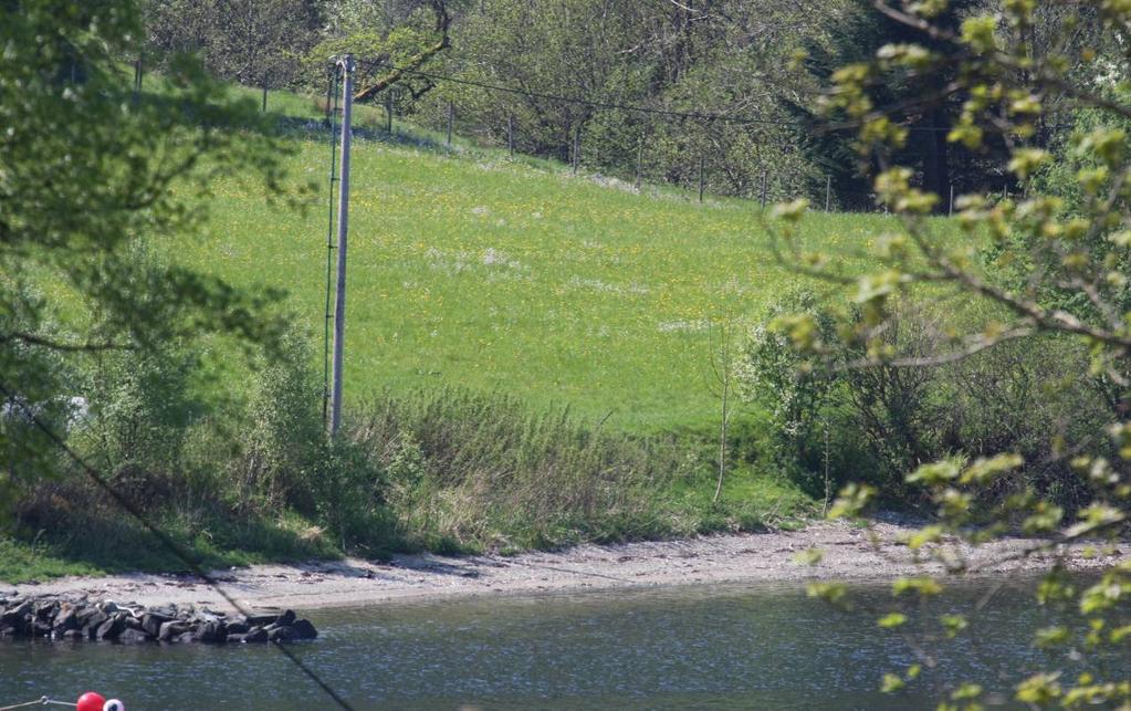 Figur 24. Humlevik er ein aktuell stad for plassering av gjerdestengsel mot strandsona.