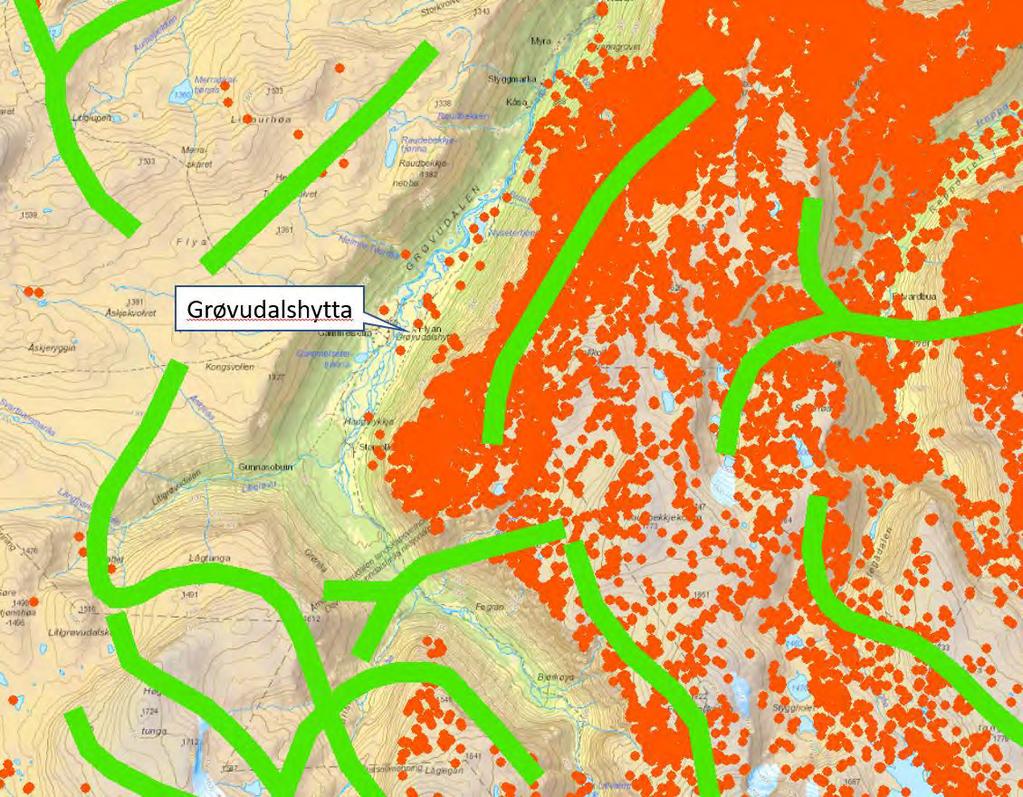Vurderinger Trekkveier for villrein (grønne streker), posisjonsplott fra «GPS prosjekt» (oransje prikker) og plasseringen av Grøvudalshytta i Grøvudalen.