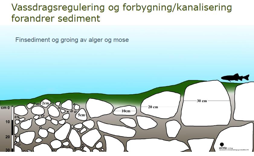 og for delvis overføring av Glomma til Rendalen». I brevet er det gitt innspill, som også tidligere er omtalt her. Men i brevets punkt nr.