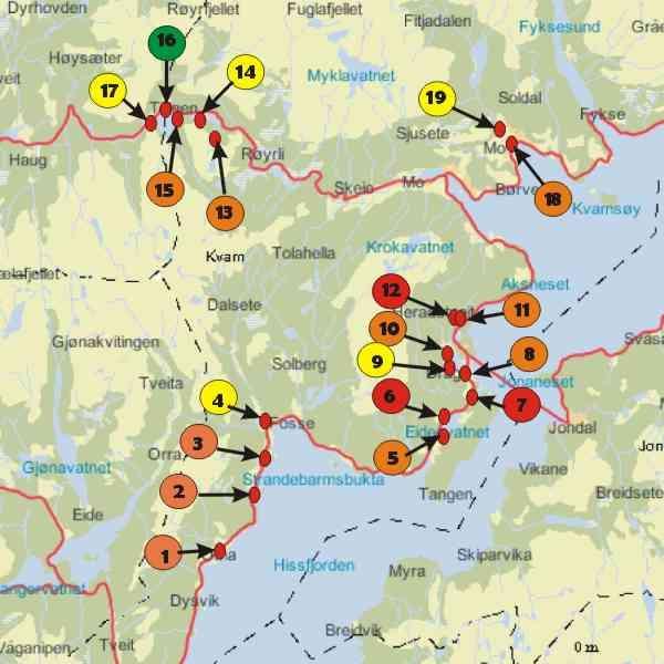 4 / 13 ne av tarmbakteriar finn ein i Eikeneselva, Risaelva og i utløpet frå Eidesvatnet Figur 2 gjev ei oppsummering av tilstanden i vassførekomstane Virkninger av Parametre I Meget god II God