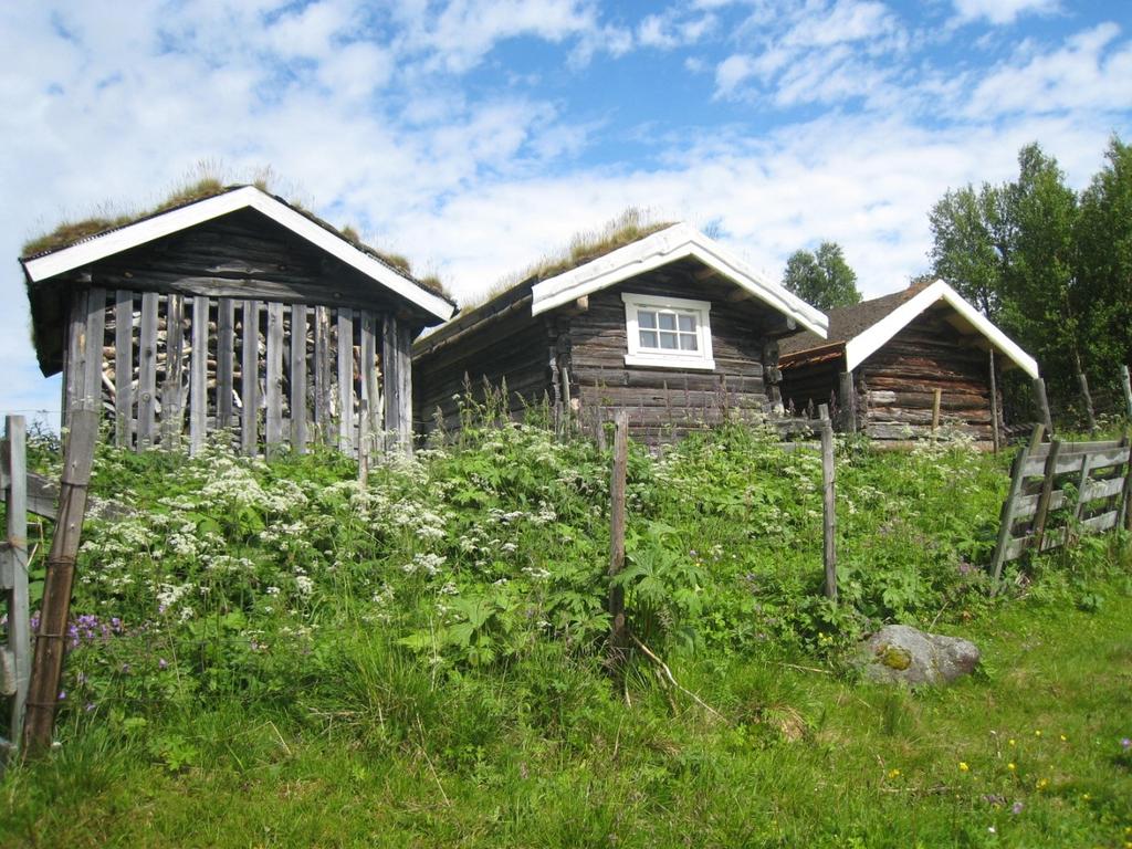 Tolga ligger i det som kalles Fjellregionen på grensa mellom Hedmark og Sør-Trøndelag. Ligger midt mellom regionsenteret Tynset og bergstaden Røros.