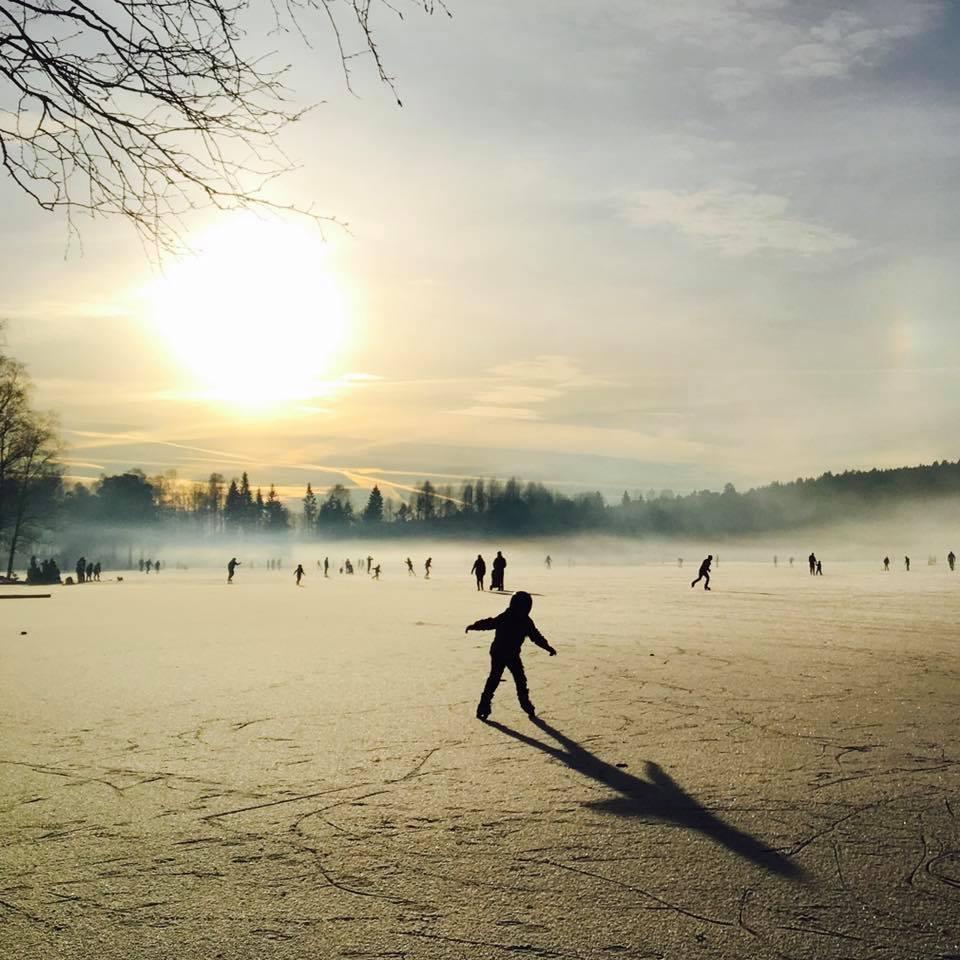 Klimabudsjett 2020 Kapittel 2 i