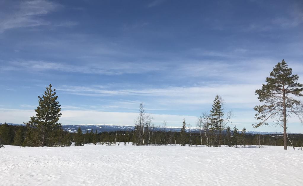 Velkommen til hyttegrender har gjennom alle tider vært et herlig -og friluftsområde - og nå har du muligheten til å bygge drømmehytta i et landskap som viser seg fra sin vakreste side, enten det er