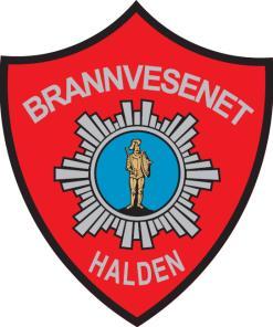 KRAV TIL BRANNSIKKERHET VED ARRANGEMENT I HALDEN KOMMUNE 1 Hensikt med veiledningen (frmål)... 3 2 Ansvarsfrhld... 3 3 Virkemråde... 3 4 Definisjner... 3 Brannredningsareal.