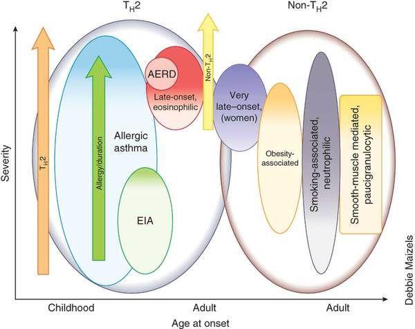 Some variation in airflow can also occur in people without asthma, but it is greater in asthma. www.ginasthma.