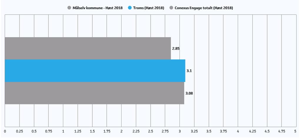 Mestringsnivå 8. klassetrinn På 8. og 9. trinn er det 5 mestringsnivå.