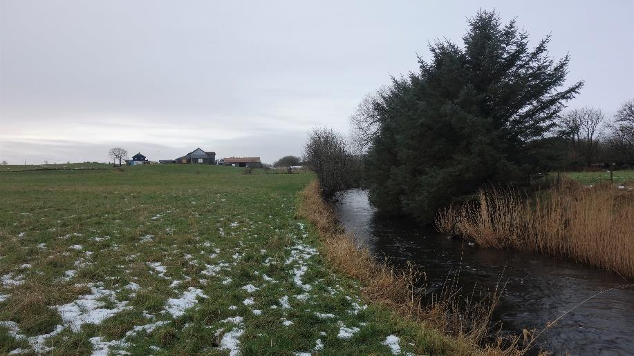 Vegetasjon langs jordbruksvassdrag i Rogaland Befaring og spørreundersøkelse i kommunene Klepp, Time, Hå, Sandnes, Sola og Randaberg Både kanaler som