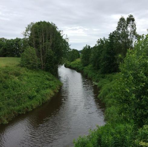 Vegetasjon i kantsoner hvorfor så viktig?