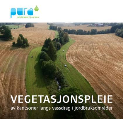 PURA brosjyre VEGETASJONSPLEIE av kantsoner langs vassdrag i