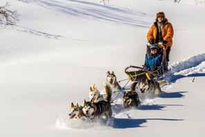 Dette begrunnes i at «vinterhub Tromsø» forventes å skape trafikk til regionen og det er allerede økende interesse for vinteraktiviteter hos reiselivsbedriftene. 9.
