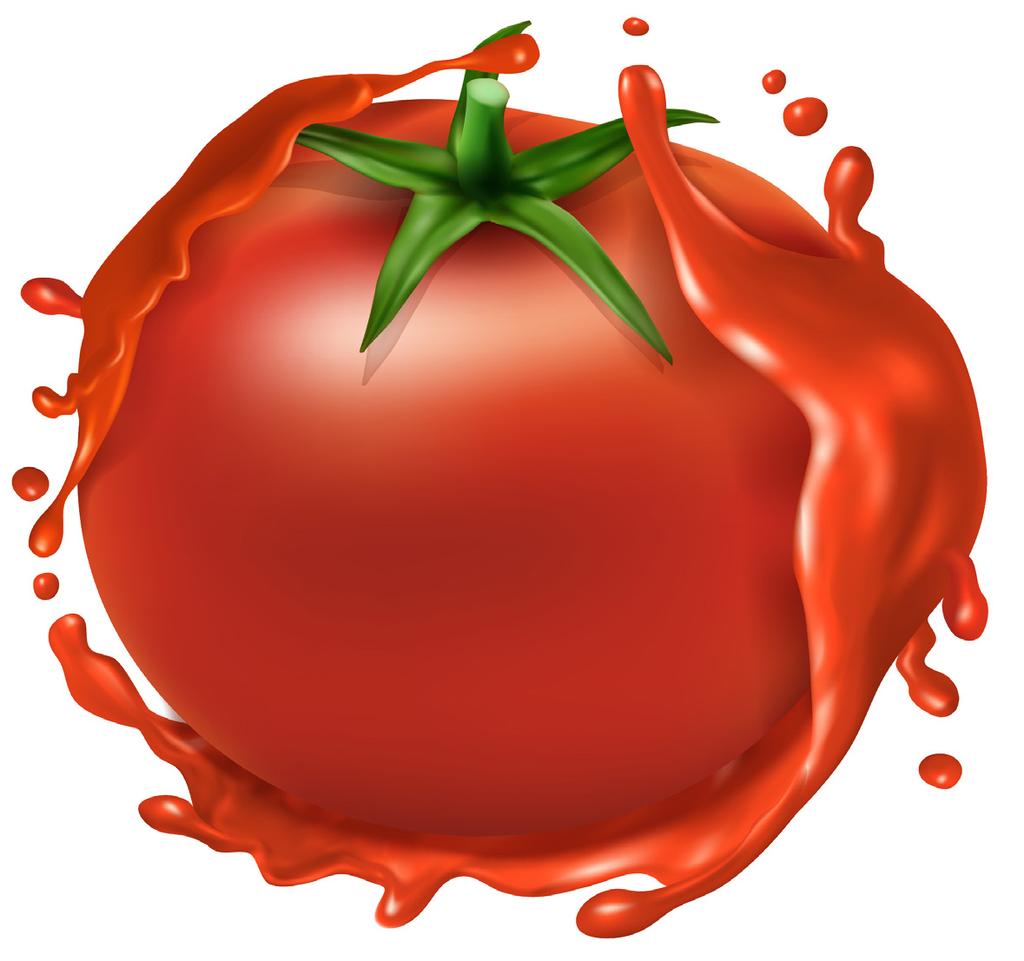 دوز کشنده توماتین موجود در گوجه فرنگی در موش 500 میلی گرم برای هر کیلوگرم وزن بدن و مقدار کشنده بادمجان در رودنت 1.75 میلی گرم برای هر کیلوگرم وزن بدن گزارش شده است) 6 (.