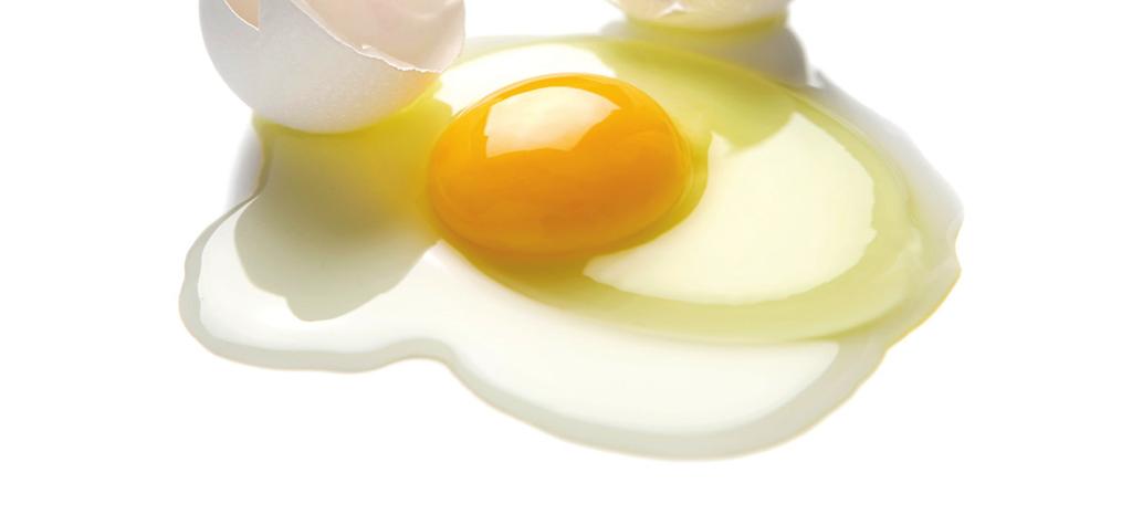 tips Egg er en god proteinkilde. Det er enkelt å lage egne eggeretter eller ha egg i supper, sauser, grøt, stuing og stapper.