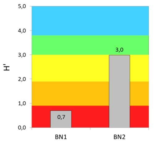 Figur 4-4 Økologisk tilstand basert på Shannon Wieners diversitetsindeks (H ), og Norsk Quality Index (NQI-1) i henhold til Veileder 01:2009 (DN, 2009). NQI1 vektlegges mest. Nordgulen 2014. 4.3 Vannkvalitet Oksygennivåene for BN1 havnet i tilstandsklasse «svært god» og «god» avhengig av om det ble brukt minimumsverdi eller maksimumsverdi (Tabell 4-9).