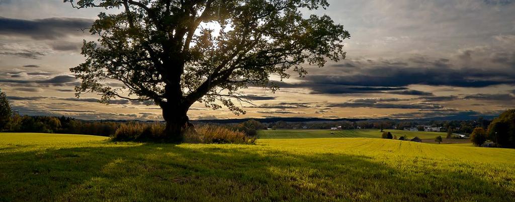 11/19 Ås kommune - Årsmelding 2018-19/00056-1 Ås kommune - Årsmelding 2018 : Årsmelding 2018 med årsberetning 39 Utarbeide skjøtselsplan for Breivoll.