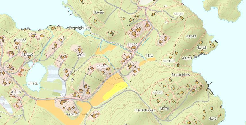 Kartet fra Miljøstatus viser områder med utvalgte naturtyper, som alle ligger utenfor plangrensen for områdereguleringen.