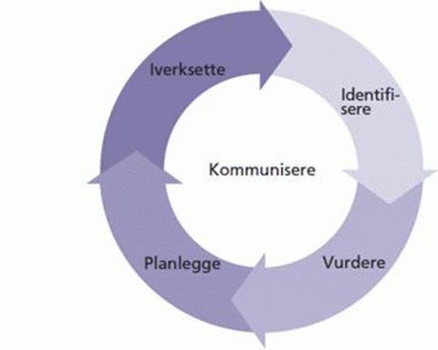 USIKKERHETSHÅNDTERINGSSYKLUSEN Projektor og programmer bør arbeide med usikkerhets i fire faser som beskrevet i figuren ved siden av.