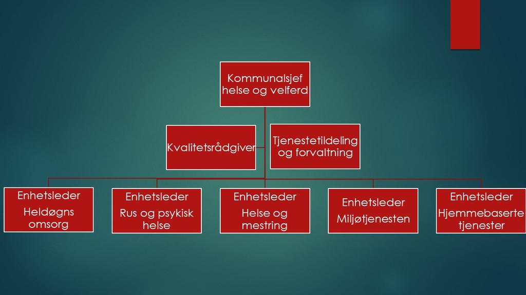 Organisasjonskartet for Helse og velferd er klart Slik blir toppledelsen i Helse og velferd i Nærøysund kommune Kommunalsjef for Helse og velferd Marit Pedersen har gjort klart organisasjonskartet