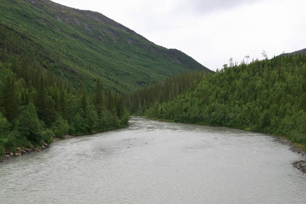 Ca. 600 meter lang atkomstvei til kraftstasjonen langs elva Figur 10 Bilde oppstrøms i Blakkåga fra brua over Rv.