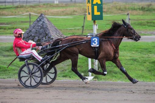 løp m YNAITE HORNLINE Tom Erik Solberg.