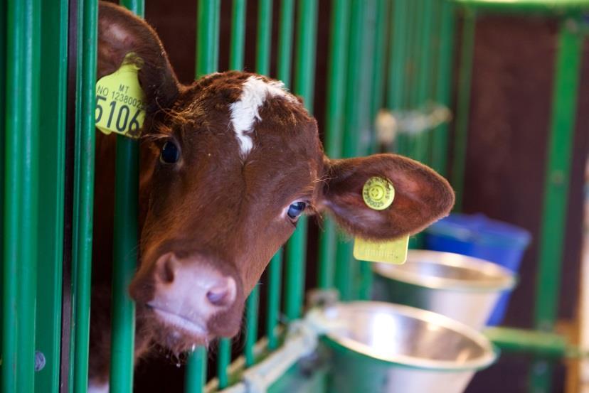 3.2 Utnytting av landbruk-, natur- og friluftsområde Kvam herad er ein mangfaldig og langstrakt kommune, der moglegheitene er store for vekst og berekraftig utvikling.