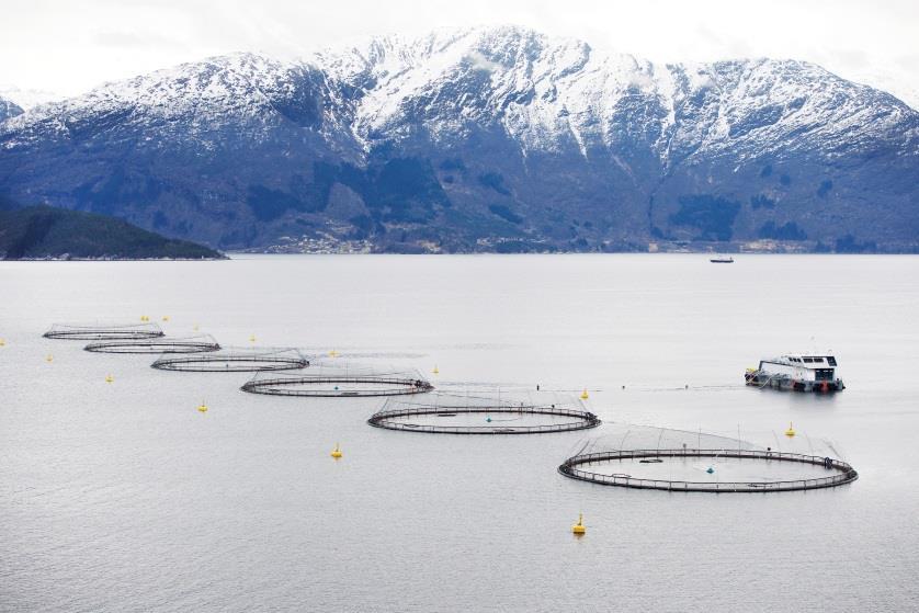 Samla framtidig areal for småbåthamner: 73,2 daa. Fiske- og akvakultur Planen fylgjer opp arealstrategiane for akvakultur, ved at lokalitetane har vorte større og færre.