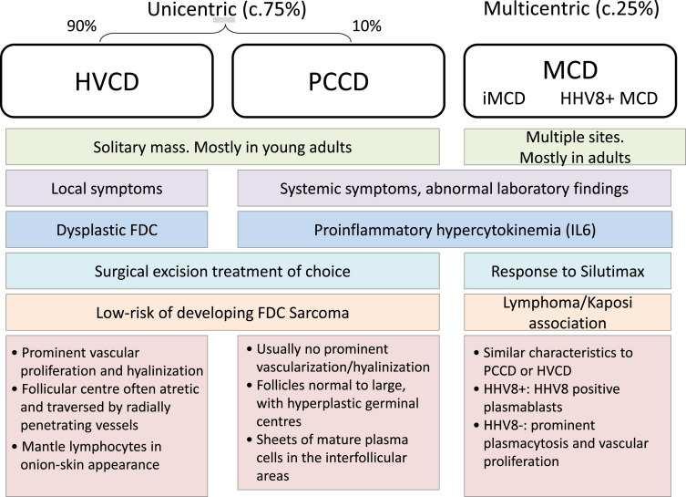 Castleman sykdom Unicentric Castleman Disease (UCD): single/regional lymfadenopati MulticentricCastlemanDisease (MCD) Lymfadenopati i multiple regioner med systemsymptomer