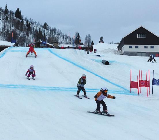 Telenor Karusellen er for barn opp til og med 12 år Alle klubber innenfor alle skigrener i Norges Skiforbund kan søke om å arrangere renn i alpint, freestyle, hopp, kombinert, langrenn og telemark.