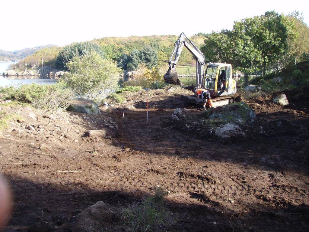 Fig. 8: Det øverste torvlaget er her blitt fjerna på. Stikkstang midt i bildet markerer prøvestikk B fra 2003.