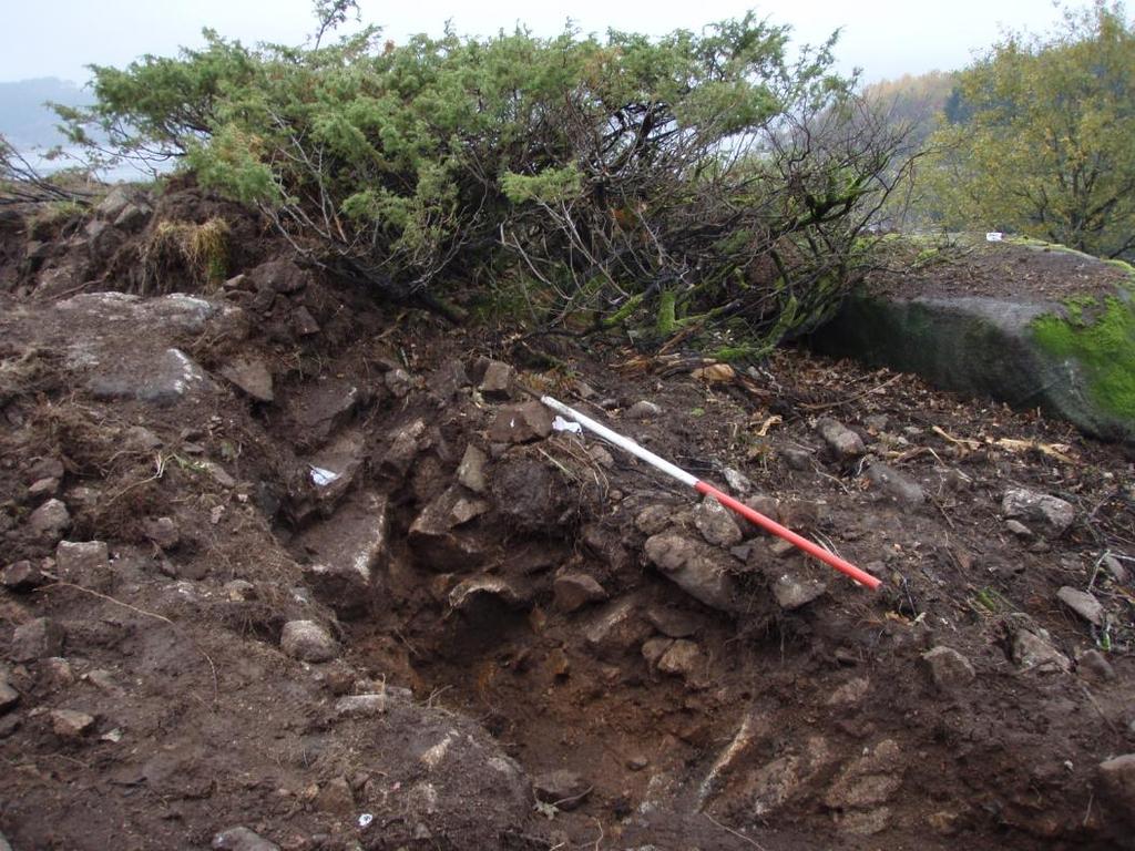 4.6.10 RYDNINGSRØYSER Det blei påvist fem rydningsrøyser på lokaliteten (jfr. fig. 14).