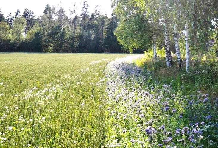 Slåttemark er en utvalgt naturtype, og det er mange verdifulle arealer i Telemark, og noen i Vestfold.