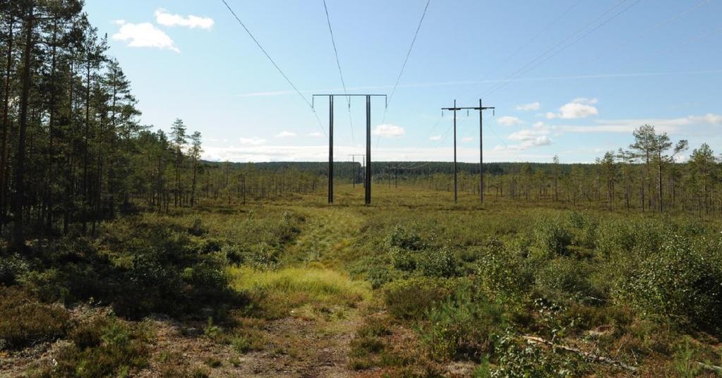 Side 14 Omsøkte tiltak innebærer at Eidsiva Nett skal rive ca. 8 km med 66 kv ledning mellom Herandsbygd og Løvbergsmoen (Posttjennet).