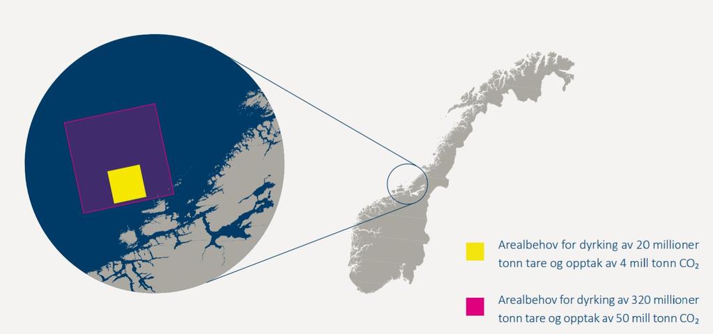 Biomasseproduksjon og CO 2 fangst CO 2 -release in Norway in 2017: 52 mill tons 1400 km 2 - Area needed for production of 20 mill tons kelp and 4 mill tons CO 2