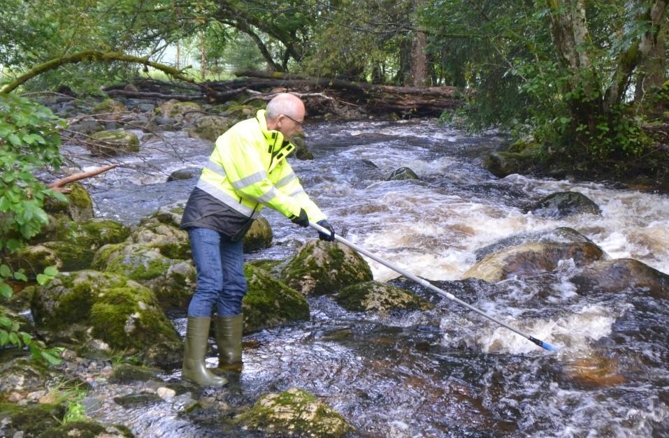 Hydromorfologi 8 elver påbegynt, rapport våren Vandringshinder?