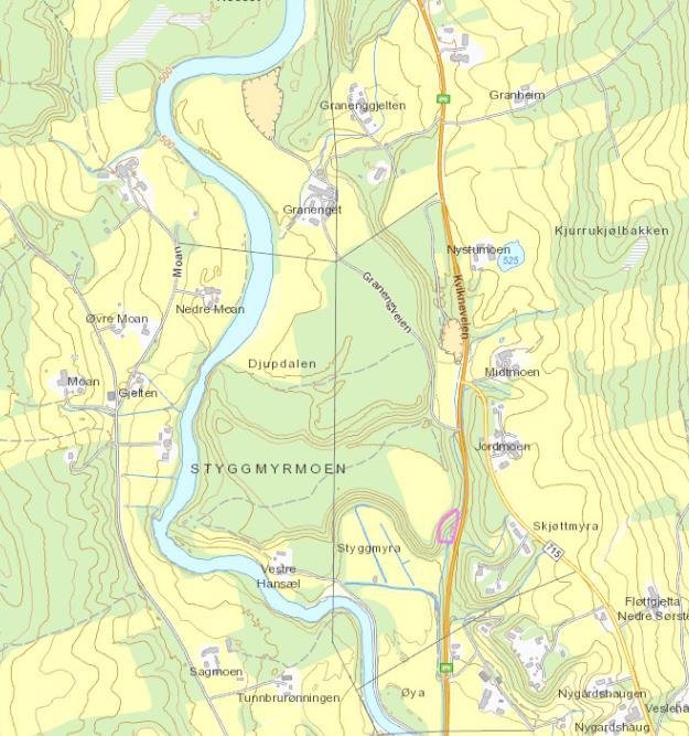 2 UTREDNING UTBYGGINGSALTERNATIVET 2.1 Naturmangfold 2.1.1 Registreringer Det er registrert to observasjoner av tyrihjelm, som er ansvarsart, helt opp til Rv.3.