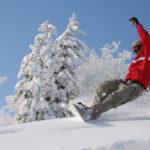 Puddersnø i Hakuba 12 dager Hakuba ligger ca. 5 timers bussreise fra Tokyo. Nært, men allikevel veldig annerledes. Denne reisen kombinerer det beste av Japan om vinteren!