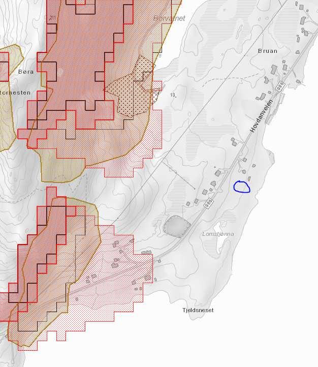 Natur- og miljøforhold Jord-/leire-/løsmasseskred Kvikkleire, ustadige grunnforhold Steinras, steinsprang nei nei Ihht kart fra NVE ligger ikke planen i område med fare for skred Is-/snøskred Kjente