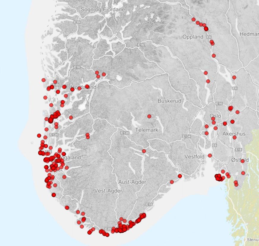 Ser vi på naturtyper så er 2 avsnitt i sone 1 avgrenset som viktigere enn resten av tiltaksområdet. I vest et mindre avsnitt med fukt- og sumpskog, inkl. mye død ved (se Fig.