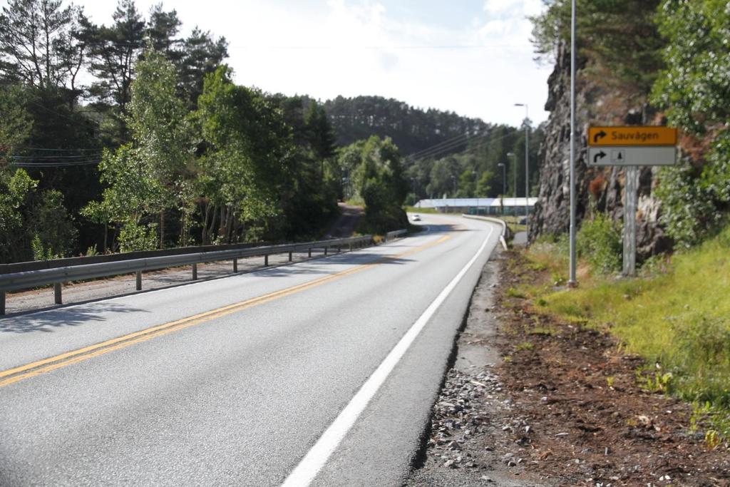 Næringsområde/hagesenter i bakgrunnen, nord for veien. 22. juni 2018. Foto: A. Håland.