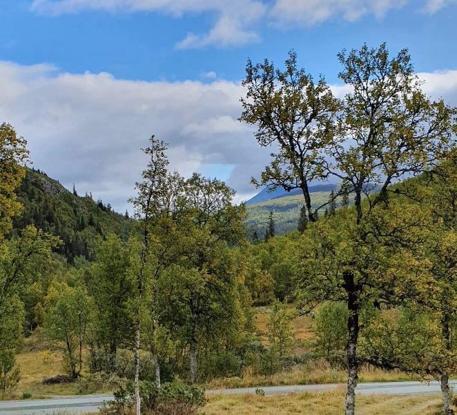 Bærekraftig utvikling får stadig større fokus i samfunnet, og det er viktig at vi starter allerede i barnehagealder.